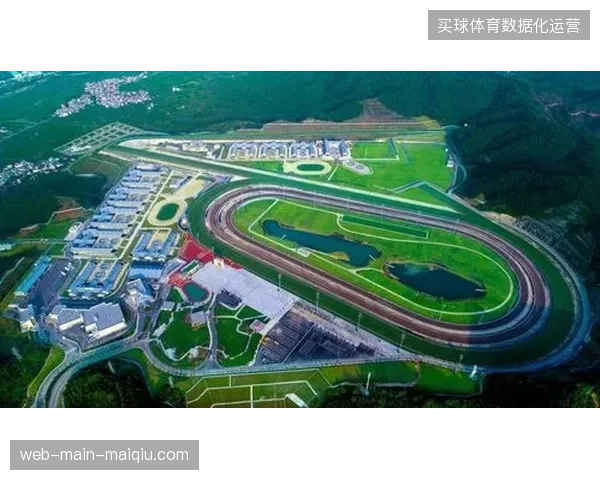 场馆智能化建设投资过剩，单纯堆砌设备如何填补内容指纹应用的技术缺口？